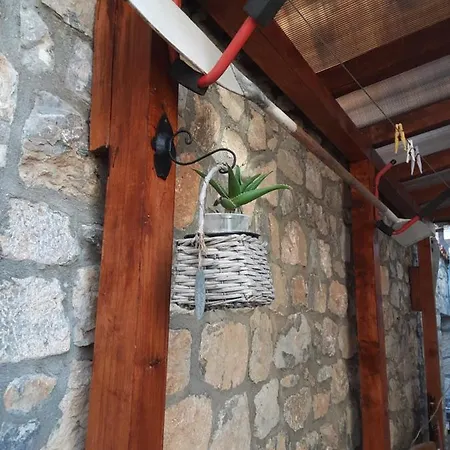 Clia * Οχρίδα